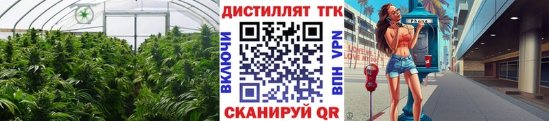 Дистиллят ТГК жижа магазин продажи ссылка на мегу ТОР Пермь