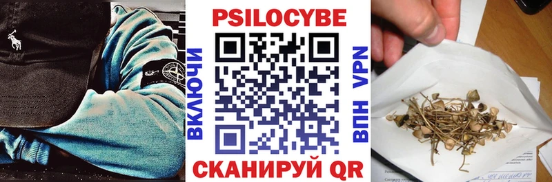 Псилоцибиновые грибы MAGIC MUSHROOMS  где купить наркоту  Пермь 